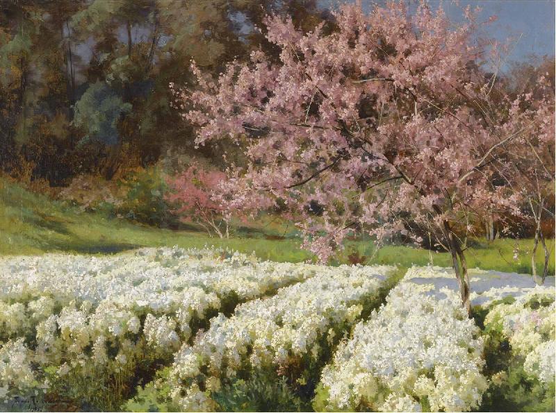 Antonio Mancini Spring blossom Spain oil painting art